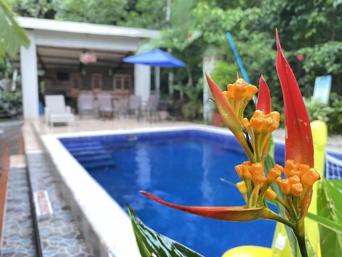 La Posada Jungle Hotel Manuel Antonio Kültér fotó