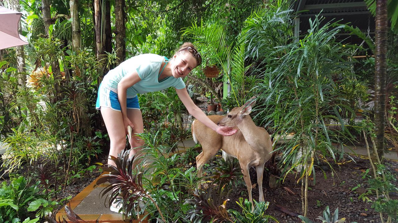 La Posada Jungle Hotel Manuel Antonio Kültér fotó
