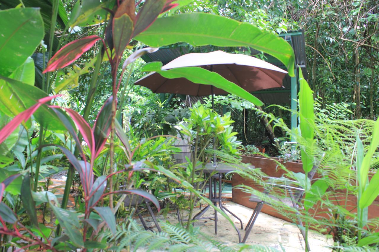 La Posada Jungle Hotel Manuel Antonio Kültér fotó