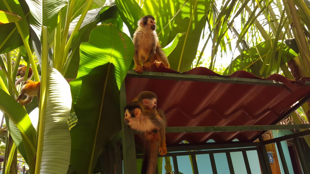 La Posada Jungle Hotel Manuel Antonio Kültér fotó