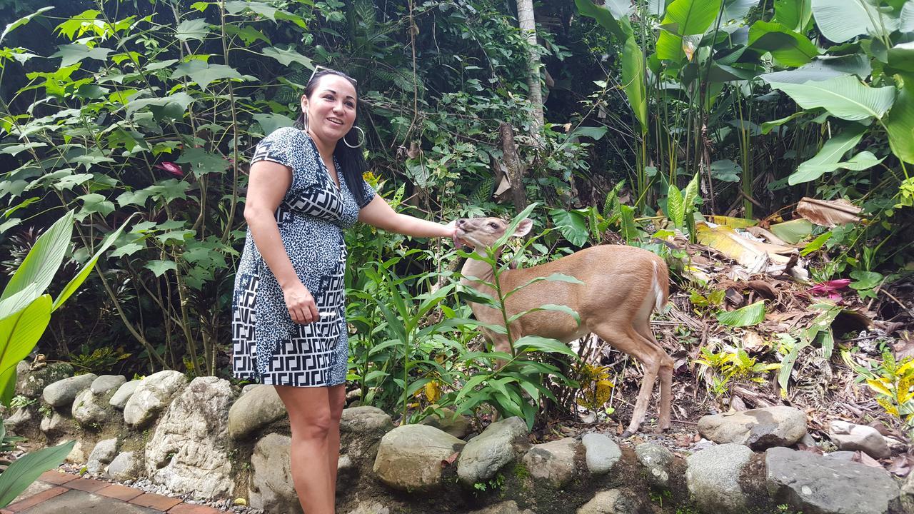 La Posada Jungle Hotel Manuel Antonio Kültér fotó